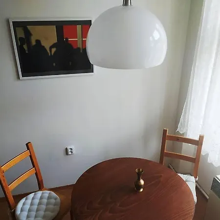 דירה Cozy Apartment In Vinohrady, Close To The Center. פראג